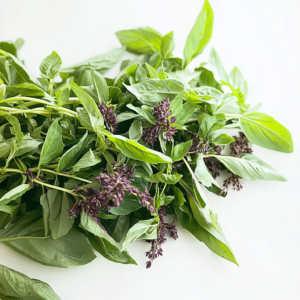 A close-up of vibrant green Thai basil leaves, perfect for pesto.